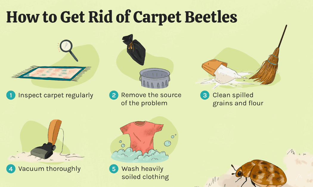 Use Insecticides Safely and Strategically